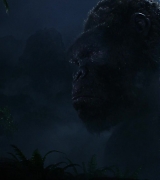 Kong-Skull-Island-0713.jpg