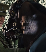 War-Horse-336.jpg